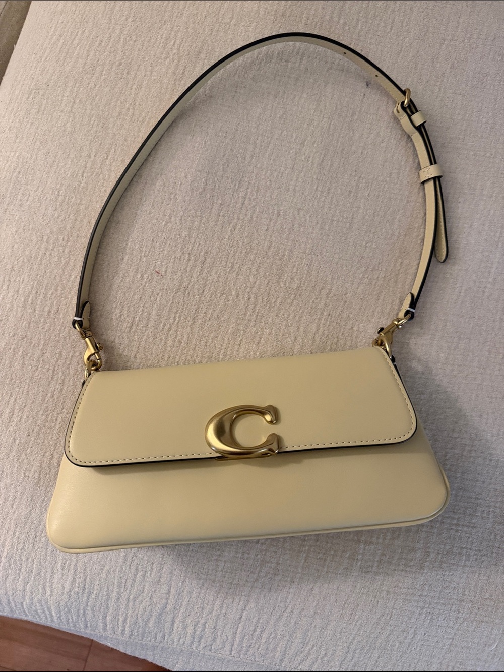 Coach Moonlight Jet Bag